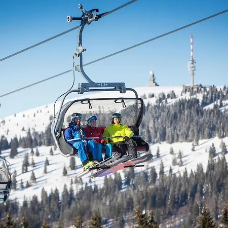 Seeblick Nr 5, 2 Zi-baerental, Feldberg Appartement