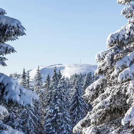 Seeblick Nr 5, 2 Zi-baerental, Feldberg Appartement Rotwasser