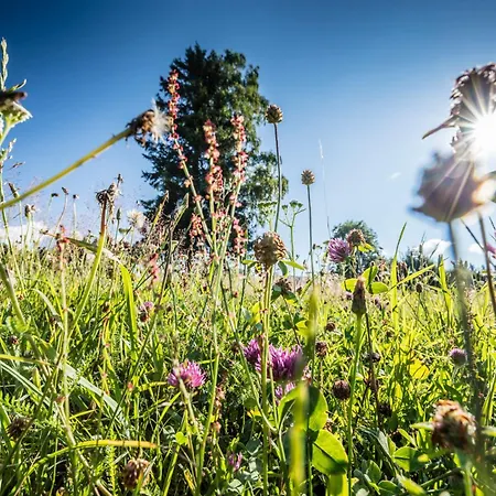 Апартаменты Seeblick Nr 5, 2 Zi-baerental, Feldberg Фельдберг