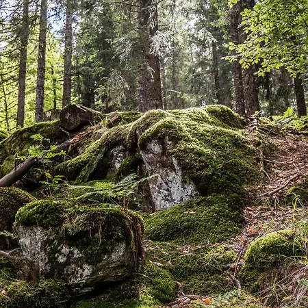 Seeblick Nr 5, 2 Zi-baerental, Feldberg Апартаменты