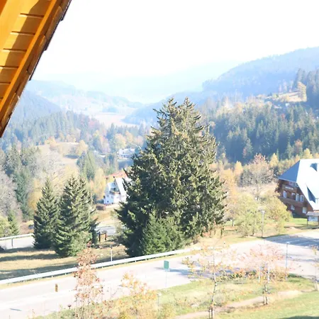 Apartman Seeblick Nr 5, 2 Zi-baerental, Feldberg