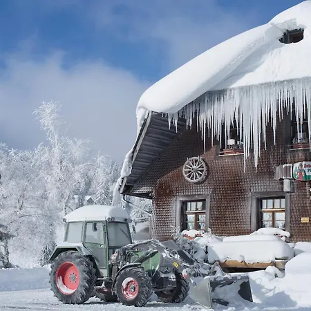 Апартаменты Seeblick Nr 5, 2 Zi-baerental, Feldberg Фельдберг