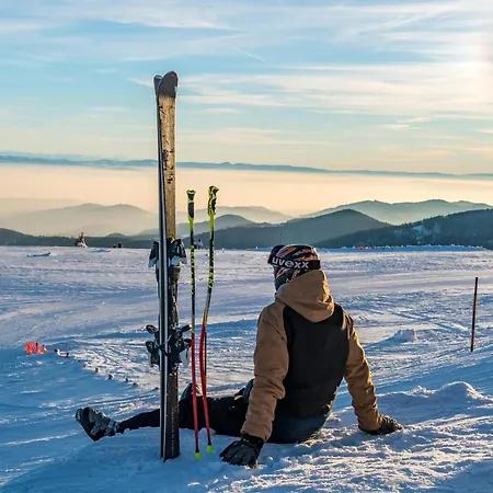 Апартаменты Seeblick Nr 5, 2 Zi-baerental, Feldberg