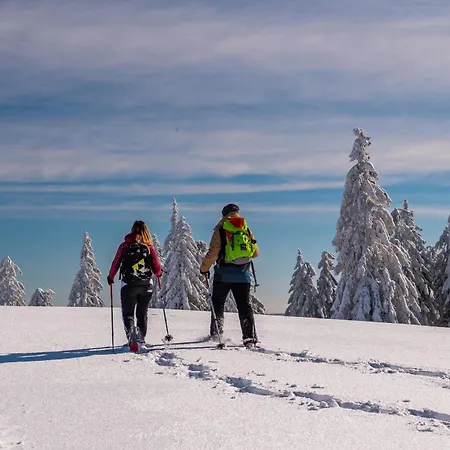 Seeblick Nr 5, 2 Zi-baerental, Feldberg * Фельдберг