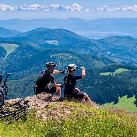 Seeblick Nr 5, 2 Zi-baerental, Feldberg Апартаменты